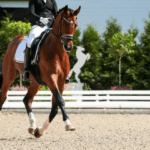 gerak-seirama-penunggang-dan-kuda-di-arena-equestrian