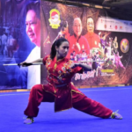 peran-wushu-dalam-seni-bela-diri-tradisional-tiongkok