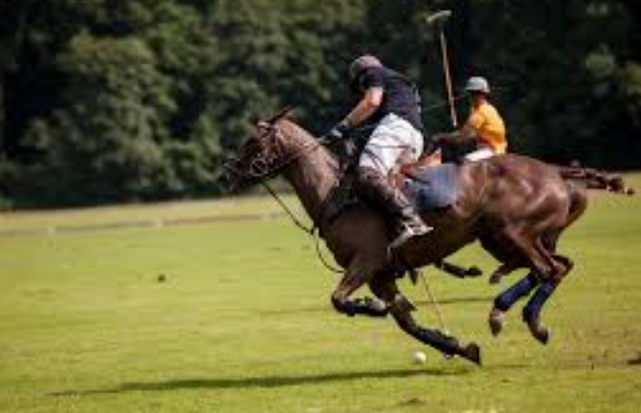 Olahraga Polo: Strategi Tim untuk Menguasai Permainan